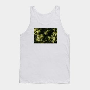 Green Leaves Tree Canopy High Above Tank Top